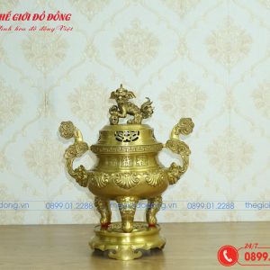 đỉnh sòi màu vàng đậm cao 40cm - 01