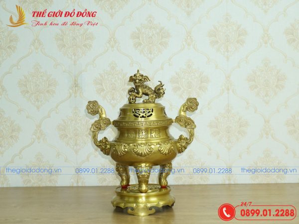 đỉnh sòi màu vàng đậm cao 40cm - 01