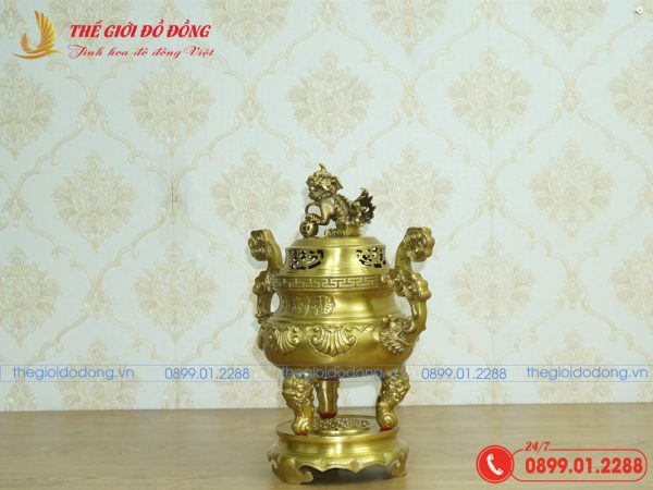 đỉnh sòi màu vàng đậm cao 40cm - 07